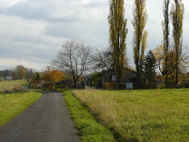 24e040f009ff576f4401ef38380036b0.JPG