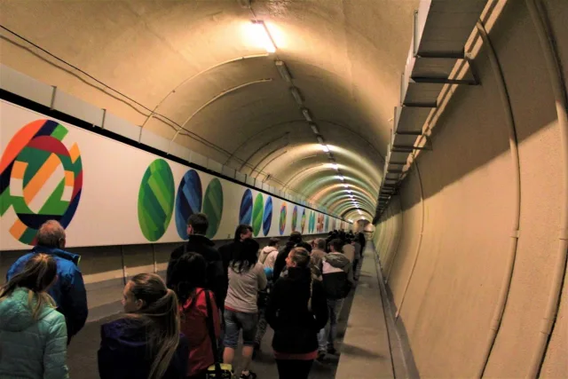 8d7b29bb02a6756dba8bf2a4ce6ac509.jpg