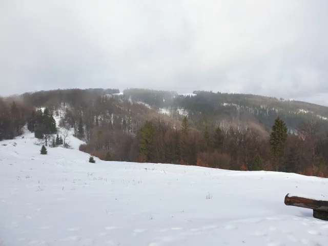 Cantoryje-15.02.2020-2