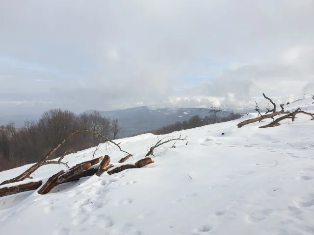 Cantoryje-15.02.2020-1