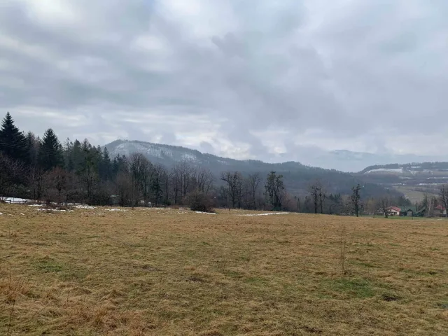 Cantoryje-15.02.2020-1