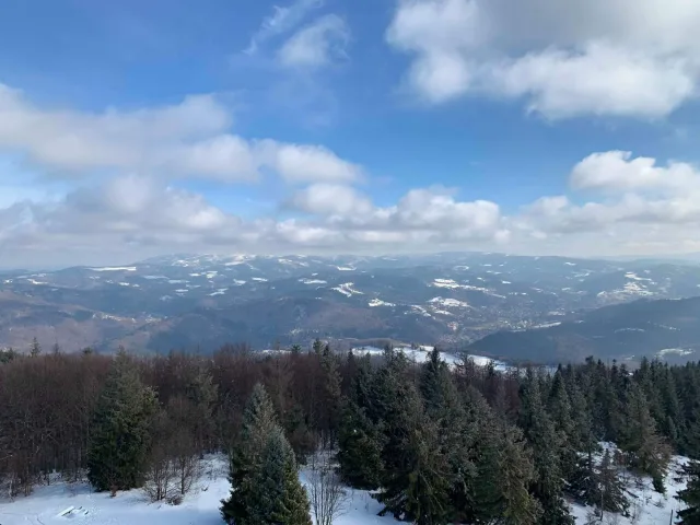 Cantoryje-15.02.2020-14