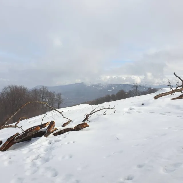 Cantoryje-15.02.2020-19
