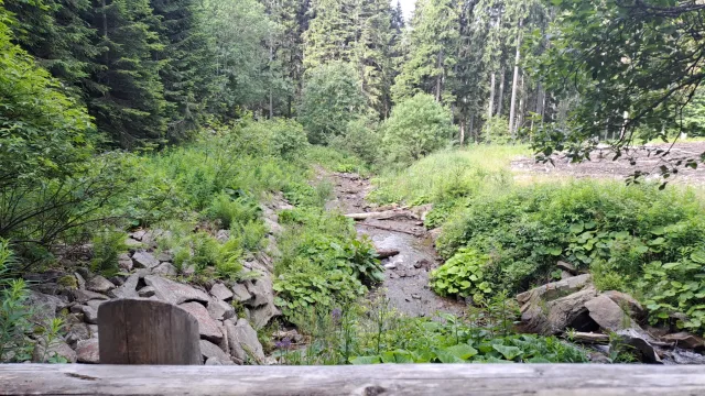 20230702_090911