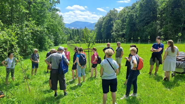IMG-20250629-WA0016
