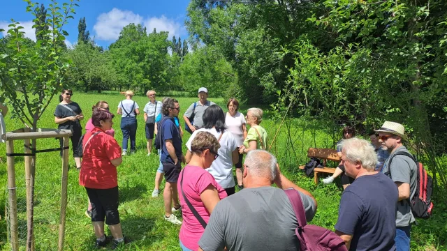 IMG-20250629-WA0022