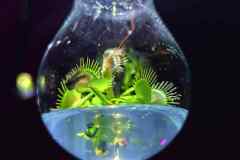 500488f3-ee0e-459d-a023-750ff2f48ac0