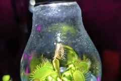 6b5624a8-be19-432a-a4c4-4cc08b19ff7d