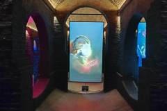 74b29cca-cf78-4bf8-87ae-08b010fe8cfb